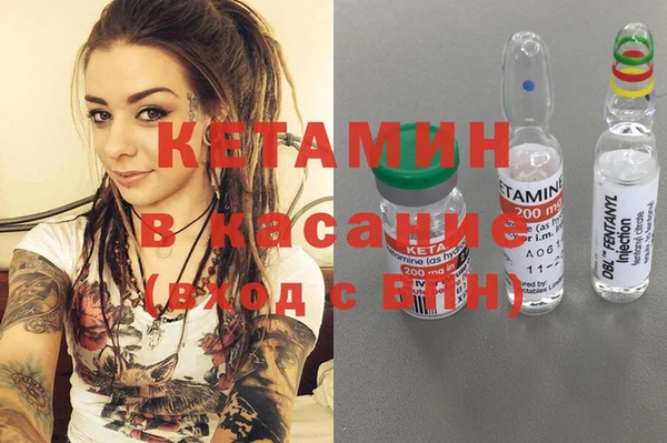 шишки Пестово