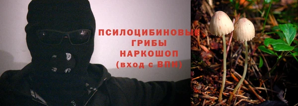 соль ск Абдулино